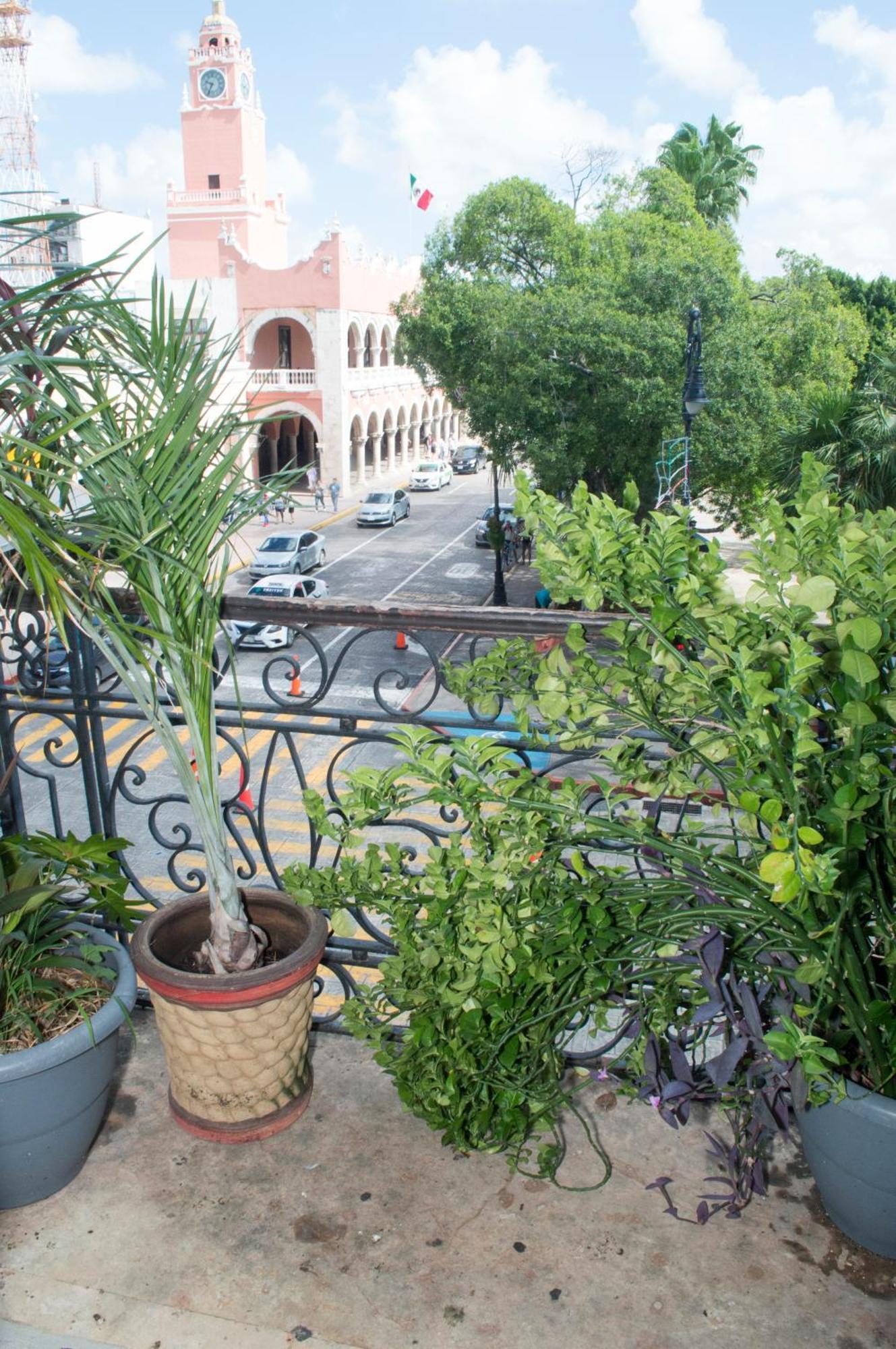 Hostal Zocalo 호텔 메리다 외부 사진